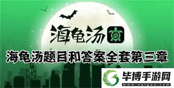 2024海龟汤题目和答案全套-海龟汤题目答案全解析-第三章 