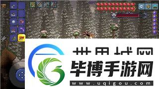三国志幻想大陆都有什么服务器可以玩-全面解析游戏服务器选择与玩家体验 