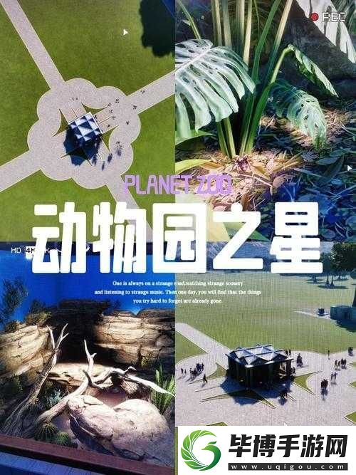 动物园之星里到底有哪些动物种类-深度解析带你一探究竟！ 