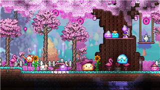 《晴空之下》桫椤角色深度解析与培养指南