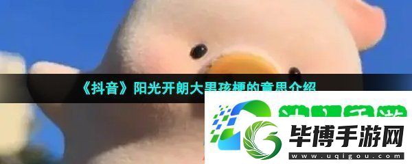抖音阳光开朗大男孩是什么意思-阳光开朗大男孩梗的意思介绍 