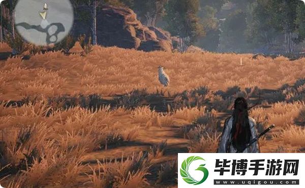 燕云十六声脂尾羊刷取方法分享 