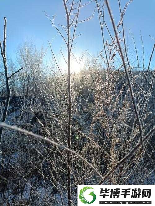 雪居之地雪猛猛抓位究竟如何-未来三种玩法革命预测引悬念 