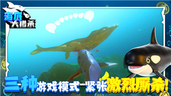 《逃出生天》单人游戏启动攻略：掌握技巧，畅享独立冒险
